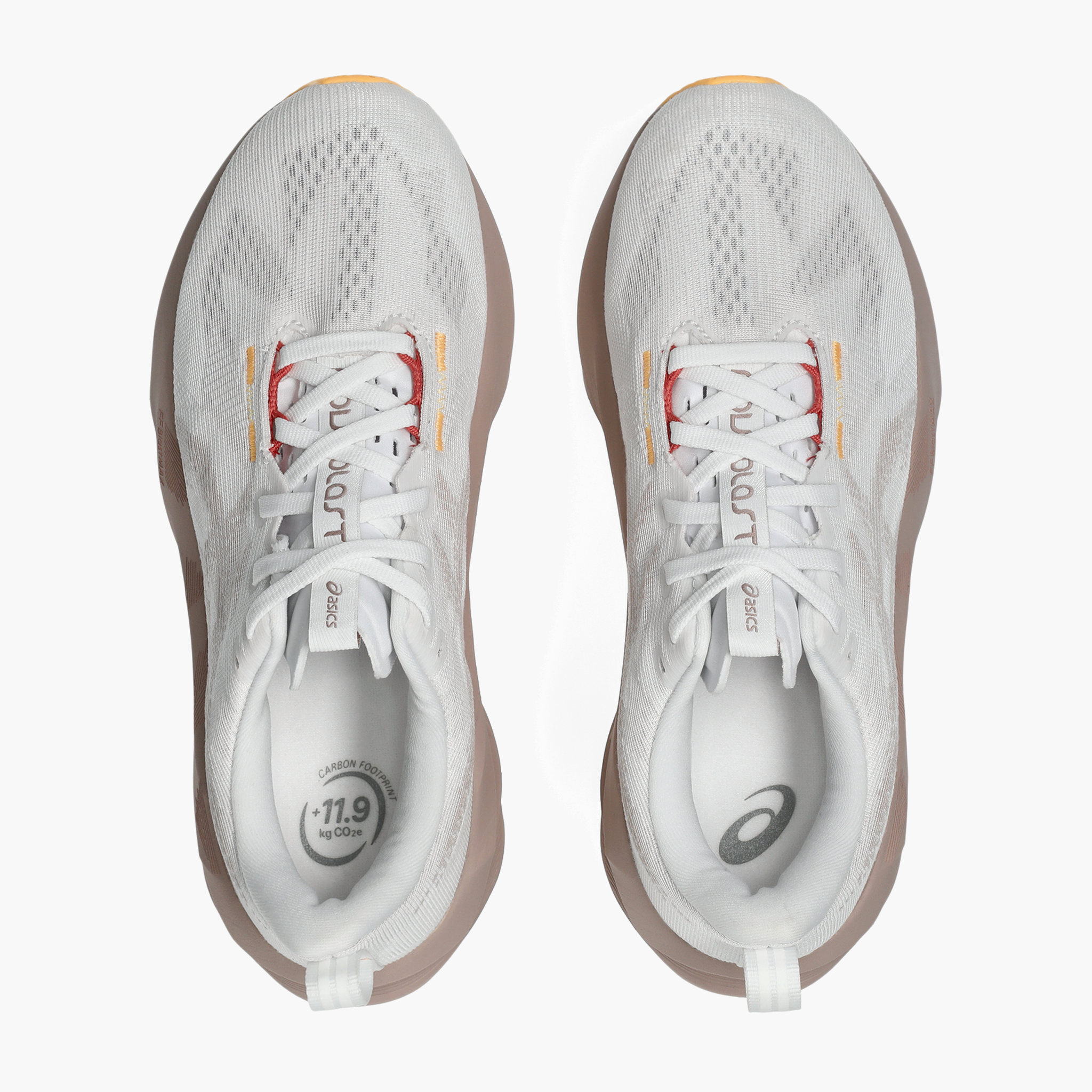Overhead angle shot of Women's Novablast 5 in White / Fawn