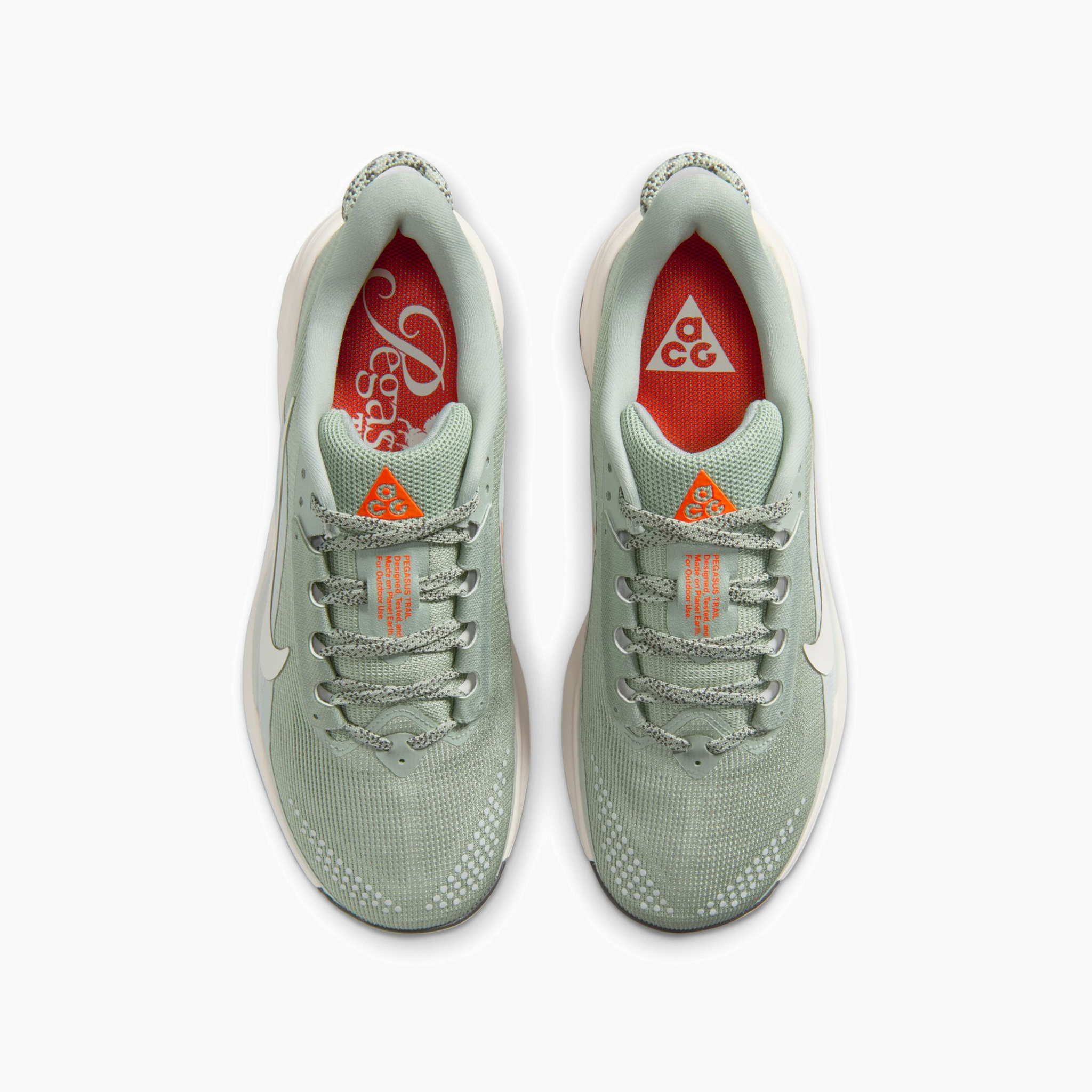 Overhead angle shot of Women's ACG Pegasus in Jade Horizon / Phantom-Light Silver