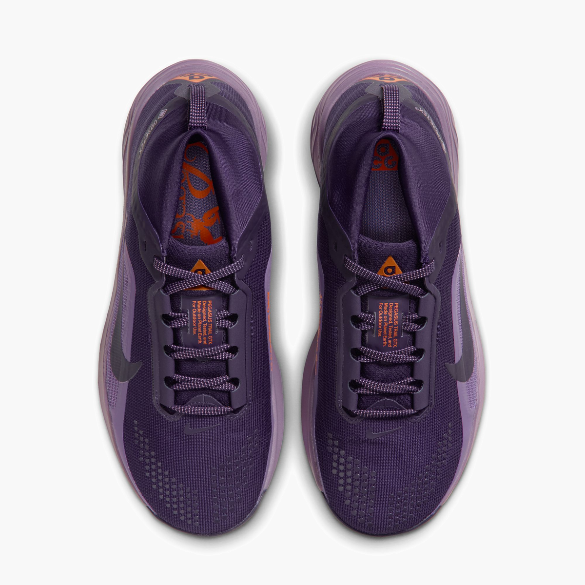 Overhead angle shot of Women's ACG Pegasus Gore-Tex in Purple Dynasty / Lt Orewood Brn