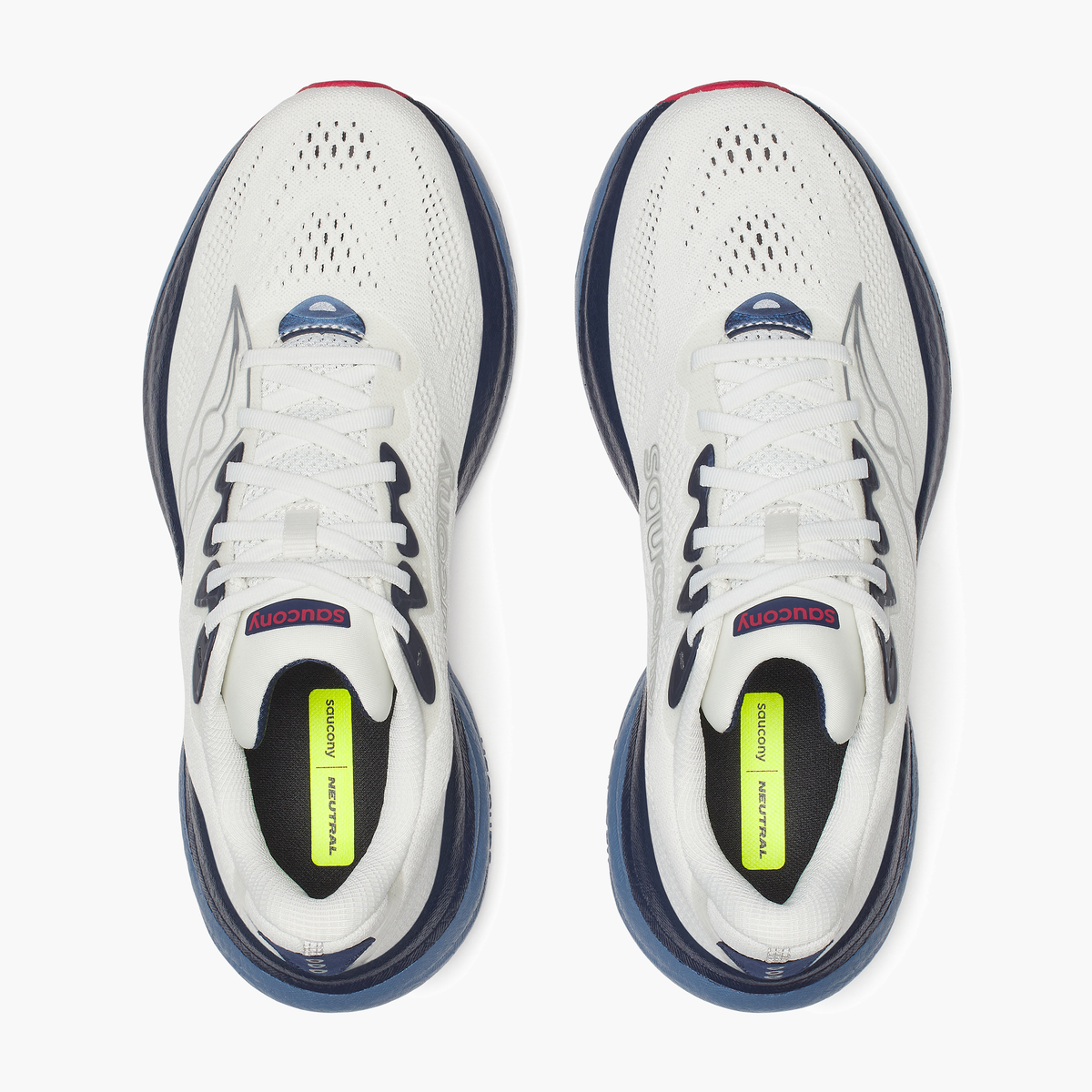 Overhead angle shot of Men's Ride 19 in Ivory / Storm