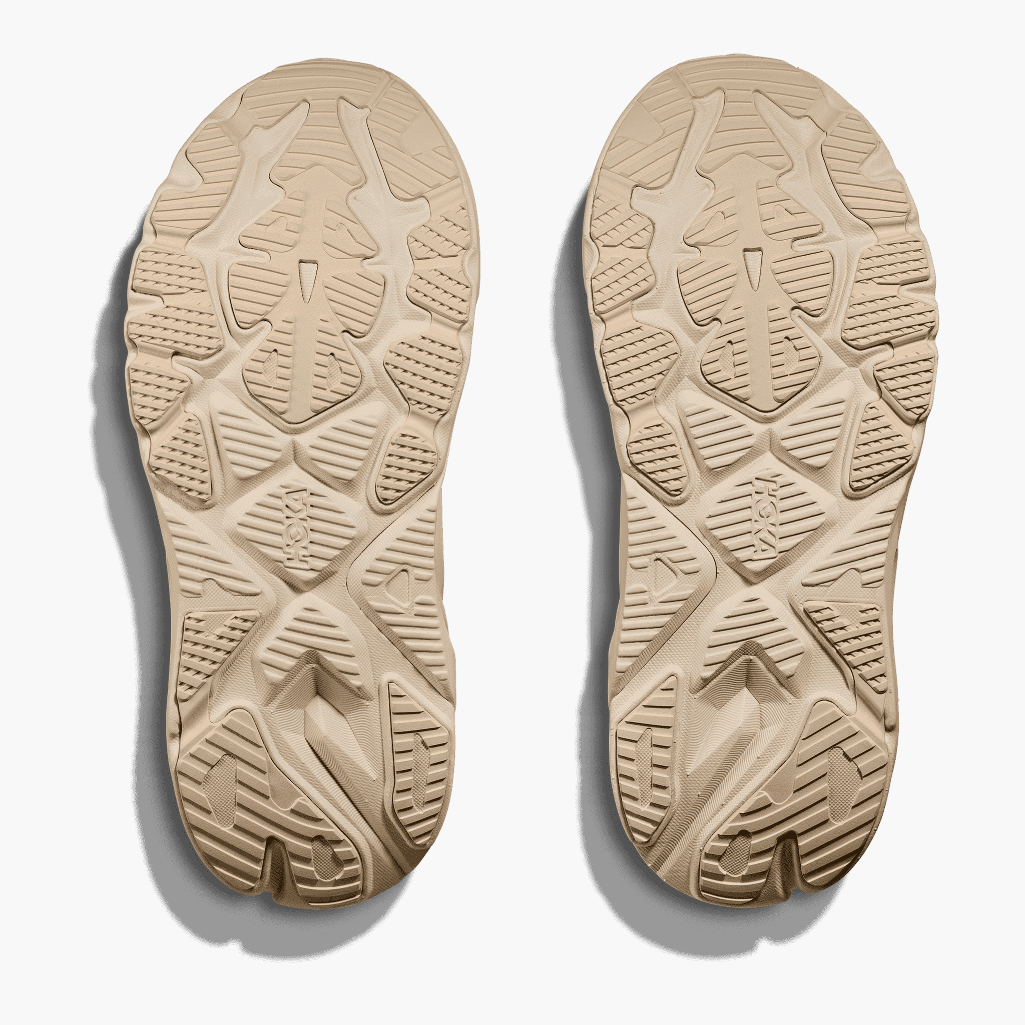 Sole angle shot of Women's Arahi 8 in Birch / Alabaster