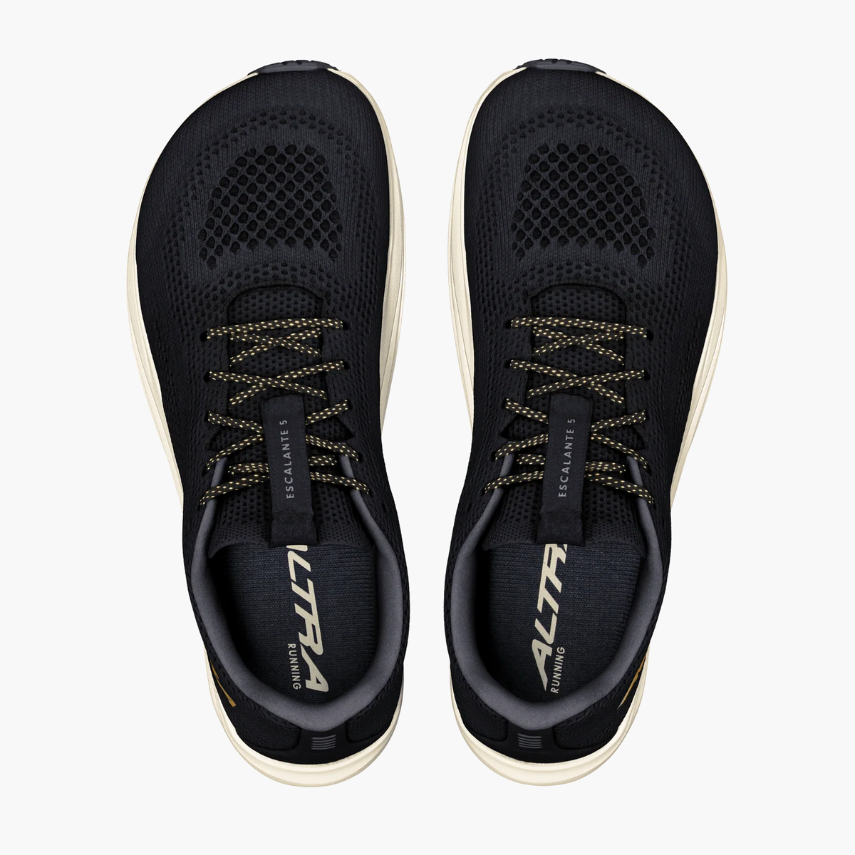 Women's Escalante 5