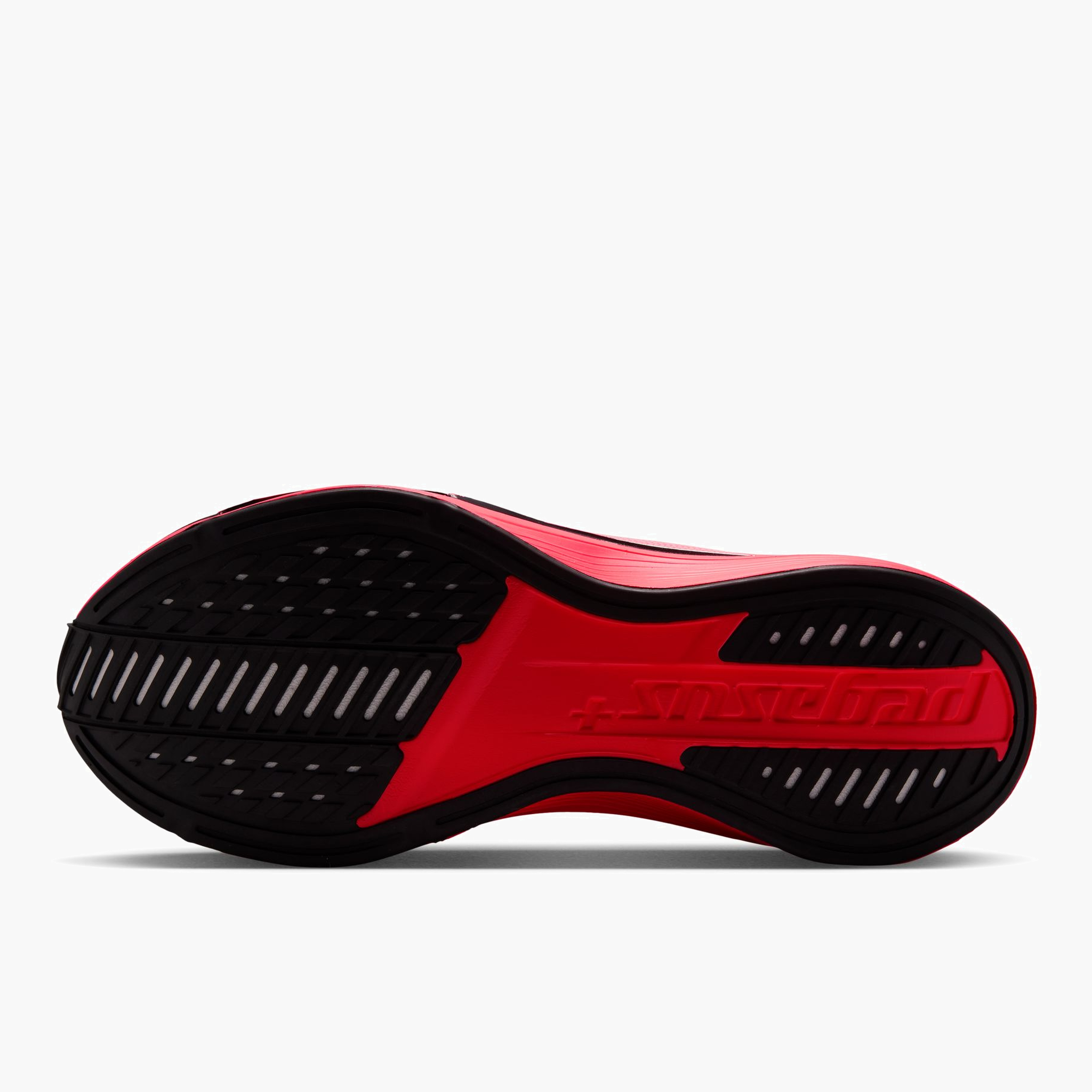 Women's Pegasus Plus 2