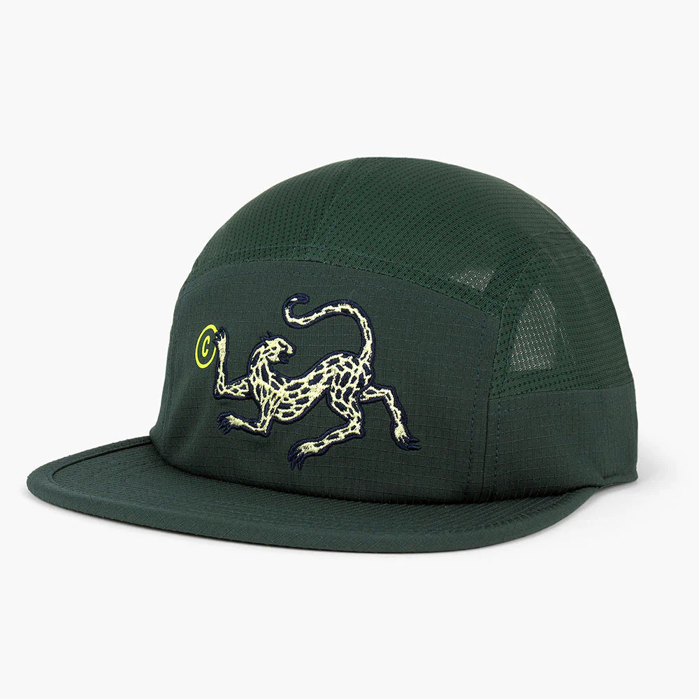 GOCap-Field-Cheetah (1)