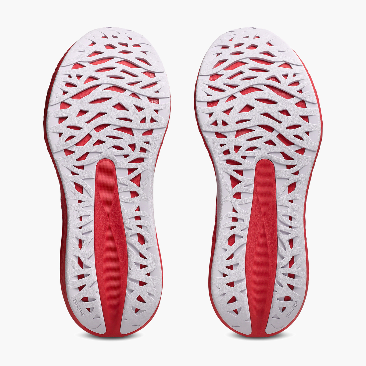 Women's Bloomstride