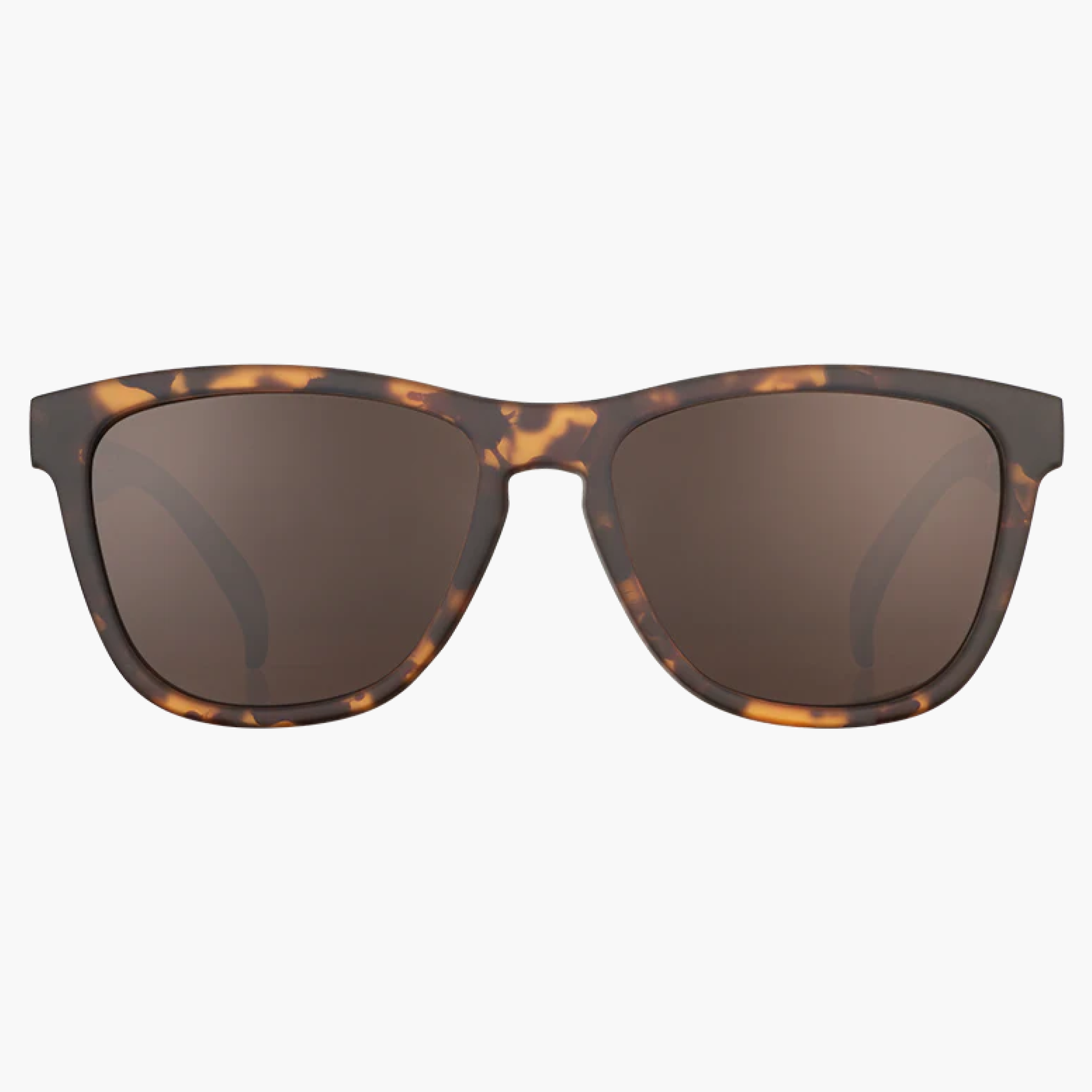 OG SUNGLASSES - Bosleys Basset Hound Dreams (1)
