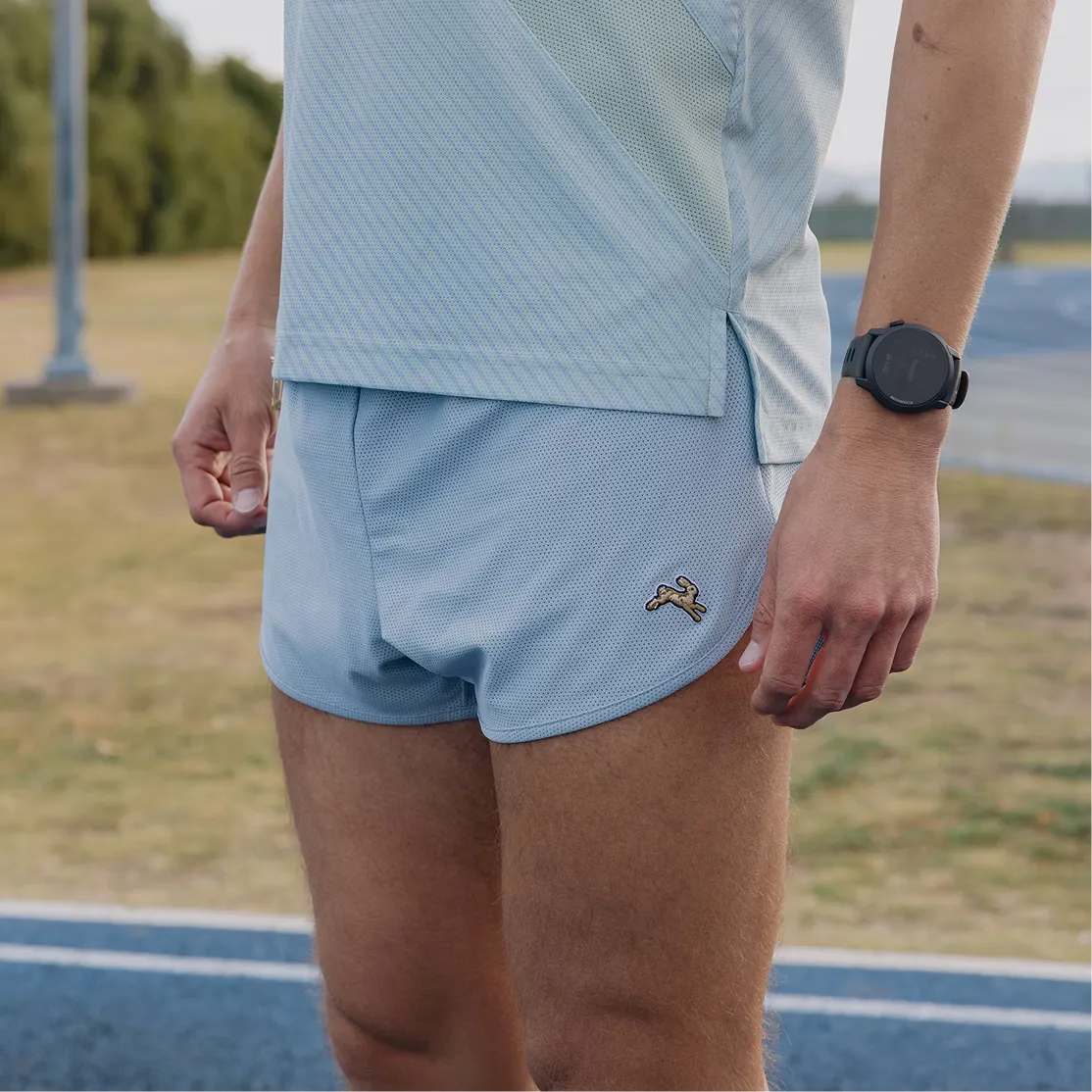 Men s Van Cortlandt Shorts 4 - Dusty Blue (3)