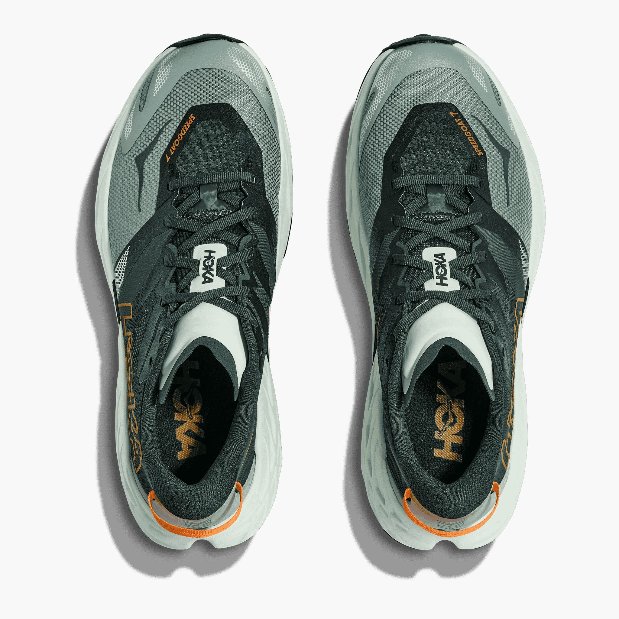 Overhead angle shot of Men's Speedgoat 7 in Bay Leaf  /  Sea Glass