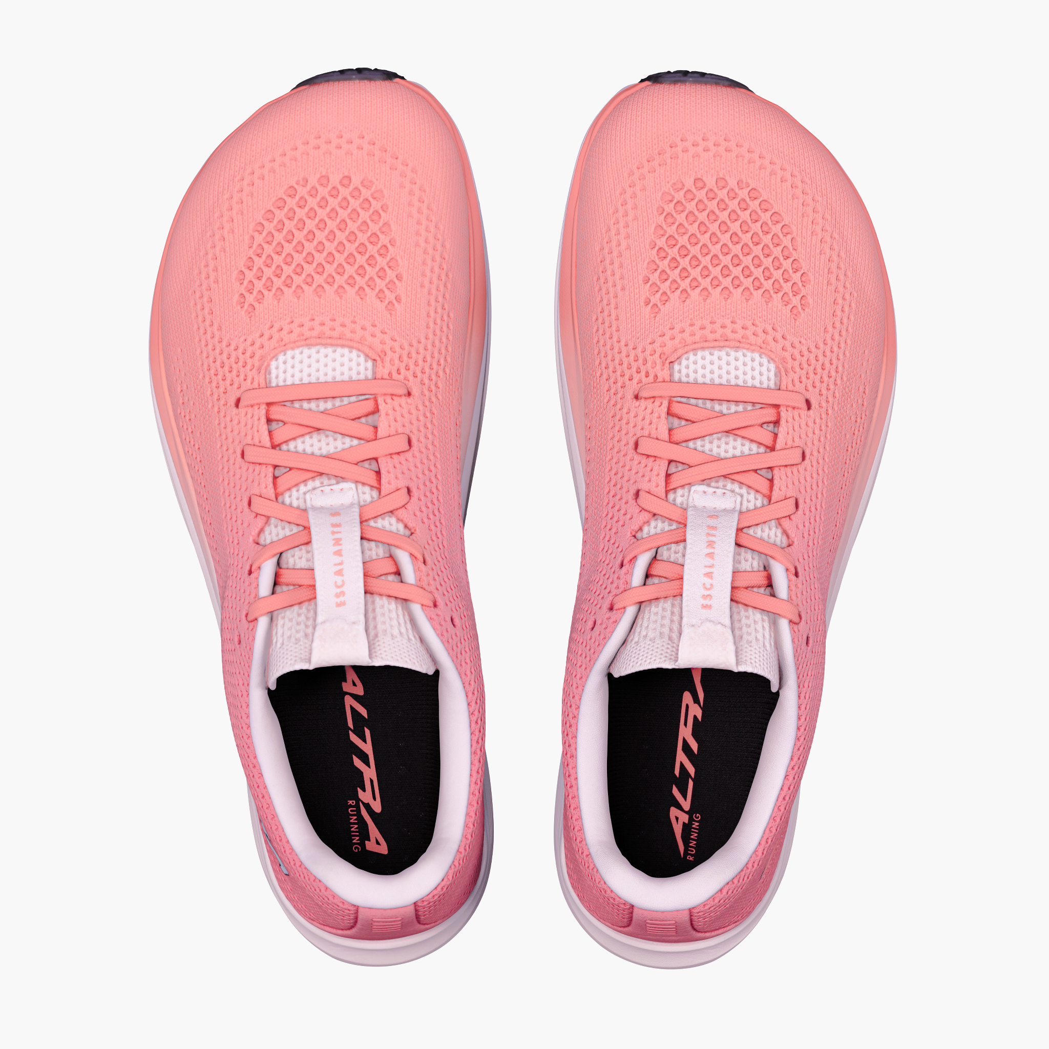 Overhead angle shot of Women's Escalante 5 in Desert Flower / Ccnt Crm / Bp