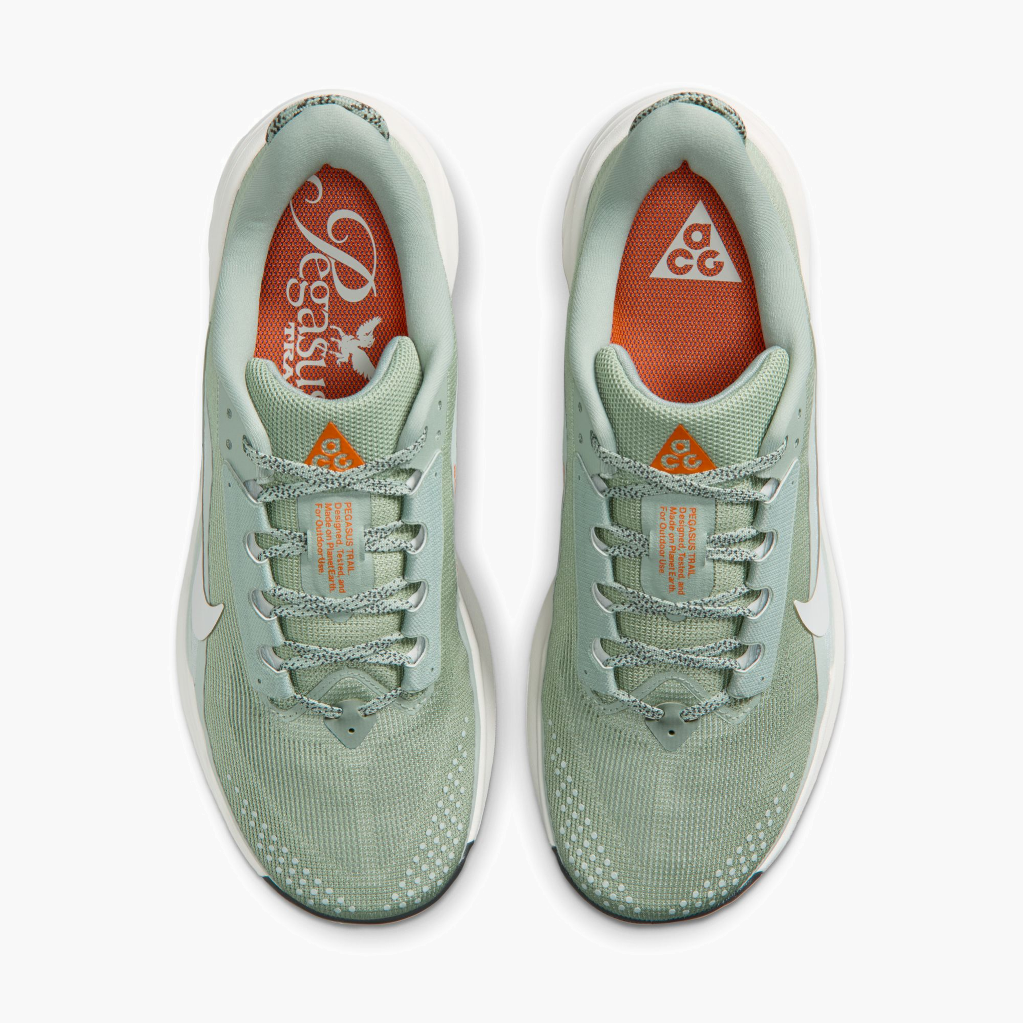 Overhead angle shot of Men's ACG Pegasus in Jade Horizon / Phantom-Light Silver