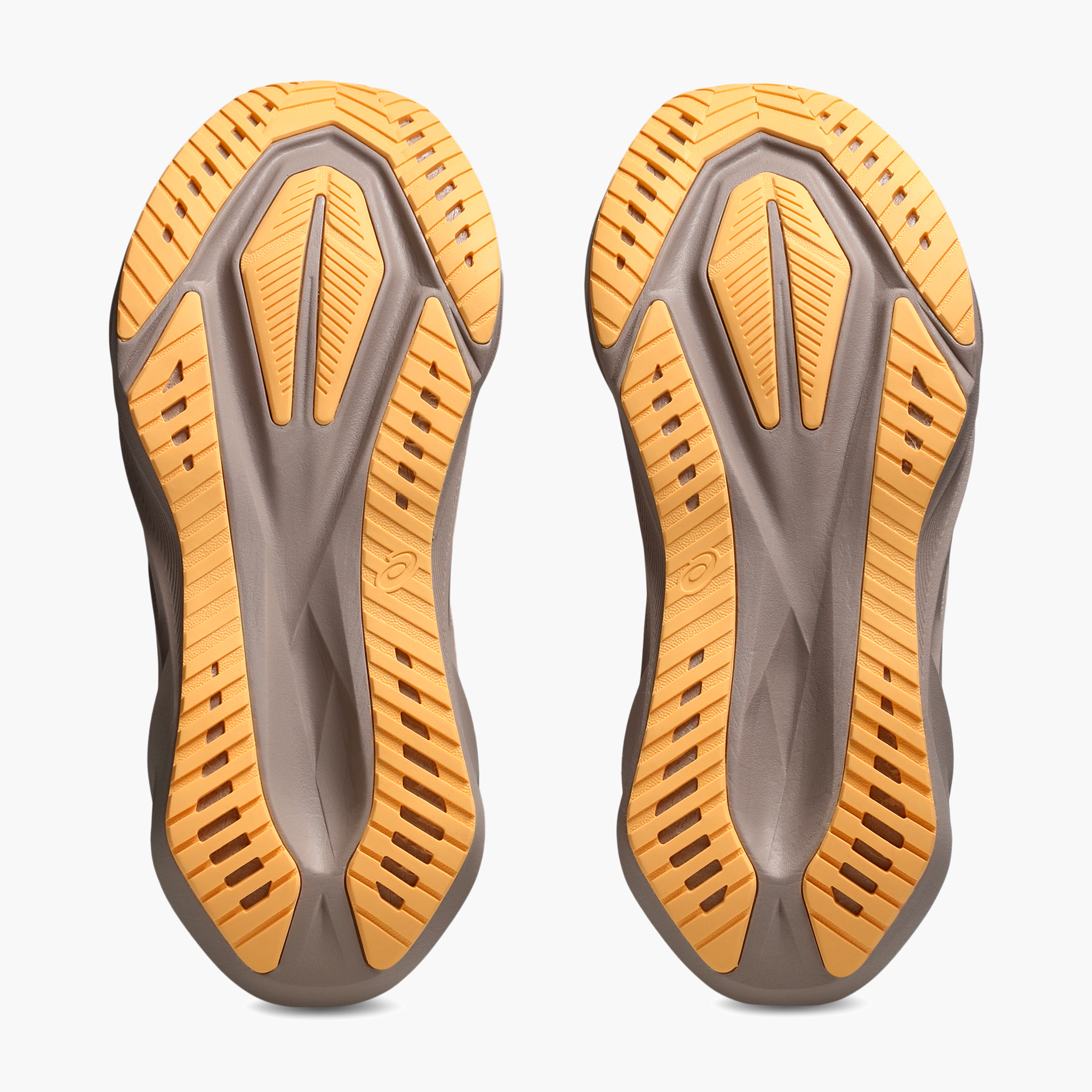 Sole angle shot of Women's Novablast 5 in White / Fawn