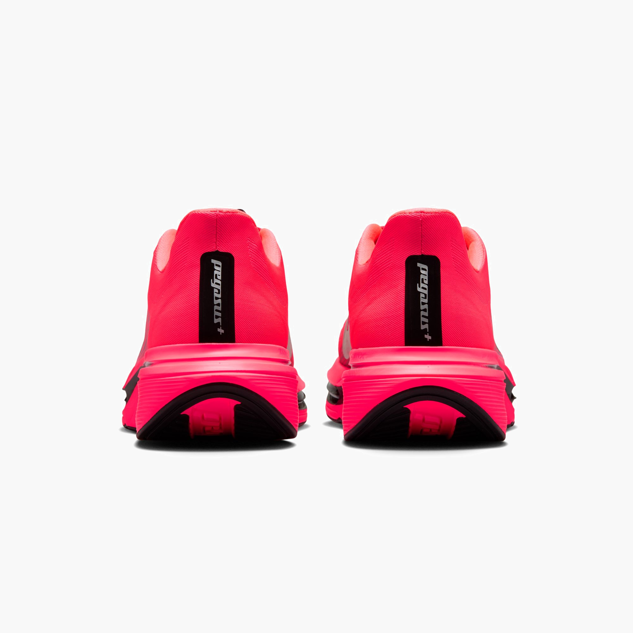 Men's Pegasus Plus 2